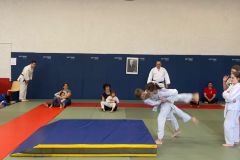 IMG-20240528-WA0002